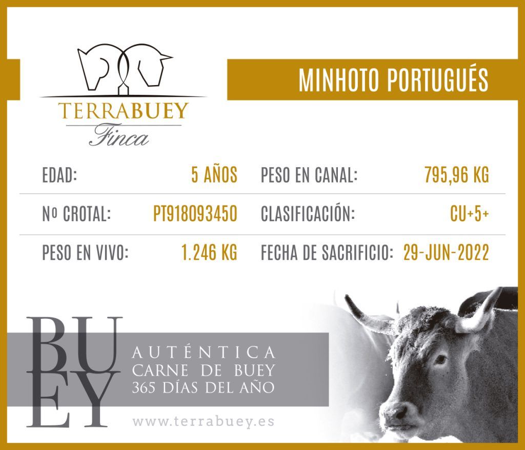 Trazabilidad de la carne de buey